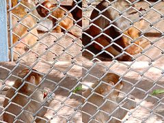 -长白岛森林公园