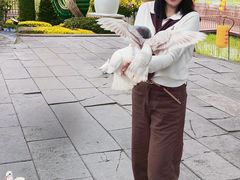 -中国翰园碑林
