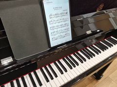 -珠江钢琴艺术中心(文一路店)