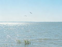 -鄱阳湖国家湿地公园