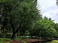 -北山公园