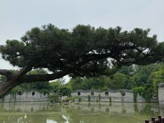 -朴园