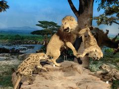 -国家自然博物馆