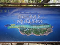 -广东惠东海龟国家级自然保护区