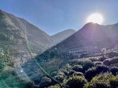 -东白山