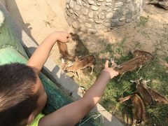 -西安秦岭野生动物园