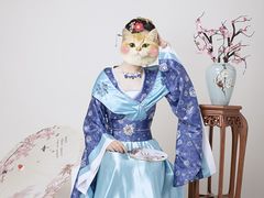 -WR·薇瑞摄影