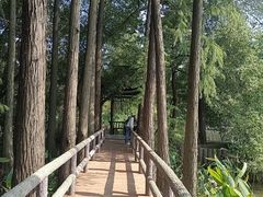 -东湖落雁景区