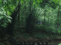-凤栖山