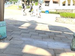 -重庆海昌加勒比海水世界