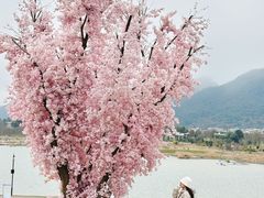 -云漫湖生态度假公园