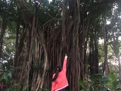 -乌山风景区
