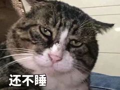 -麦当劳(塔园路店)