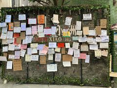 -小洲村