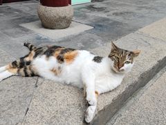 -豫园