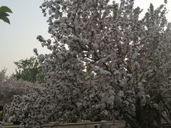 -元大都城垣遗址公园