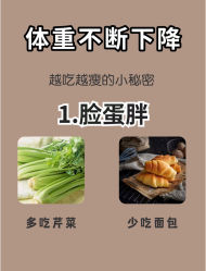 -Fundi张玉珊修身堂·indiba·BTL科技瘦身