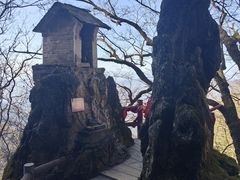 -塔云山