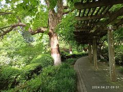 -红梅公园