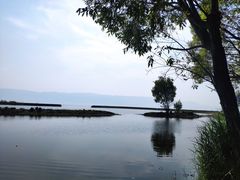-大理洱海