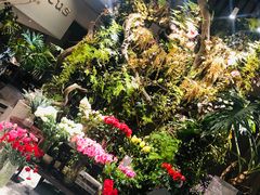-发现花馆西餐厅FA Restaurant