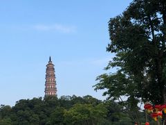 -顺峰山公园