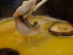 -鲜入围煮花胶鸡海鲜火锅