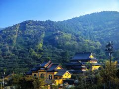 -树山生态村