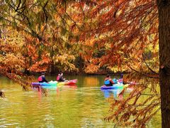 -上海海湾国家森林公园