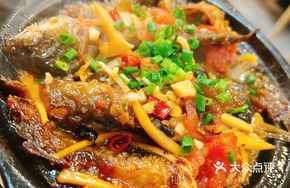 Old Friend Yellow Bee Fish