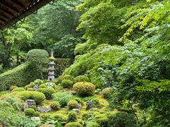 -三千院