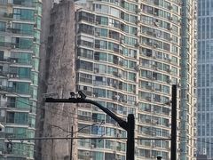 -陈光记烧腊(长寿路店)