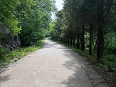 -波尔登森林公园