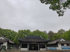 -上海佘山国家森林公园天马山园