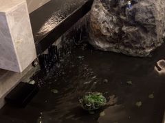 -臻品足道(佛祖岭店)