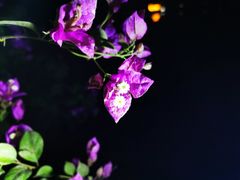 景点-陶然亭公园