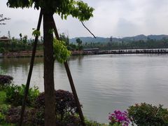 -枫香湖儿童公园