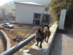 -瑜上·山食小馆