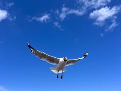 -青海湖二郎剑景区