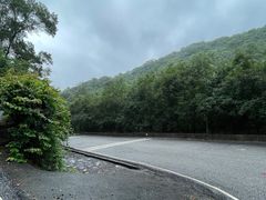 -广州白江湖森林公园