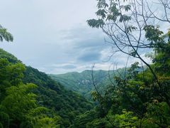 -藏龙百瀑风景区