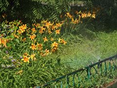 -国家植物园南园