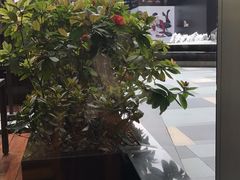 -君悦酒店·La Terrazza意合園·意式风味