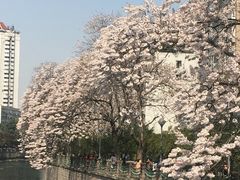 -成都市活水公园