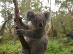 -费瑟代尔野生动物园