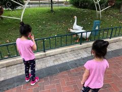 -国色天乡三期陆地乐园