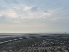 -南汇新城海滩