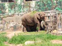 -西安秦岭野生动物园
