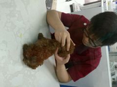 android_upload_pic-芭比堂动物医院(广州爱宠下渡路分院)