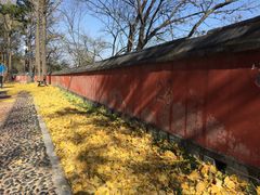 -阳台山自然风景区